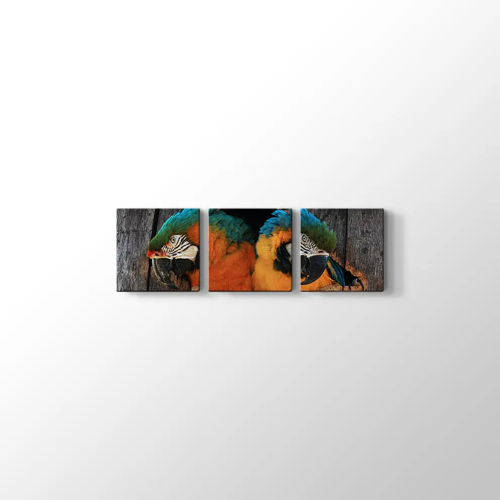 Papağan Yuvası Kanvas Tablo