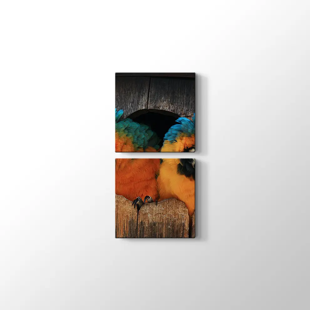 Papağan Yuvası Kanvas Tablo
