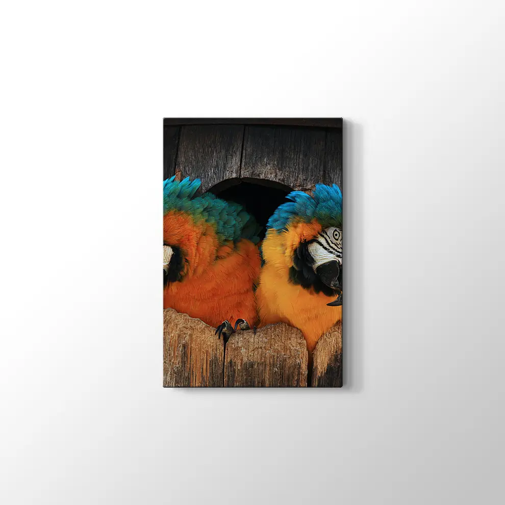 Papağan Yuvası Kanvas Tablo