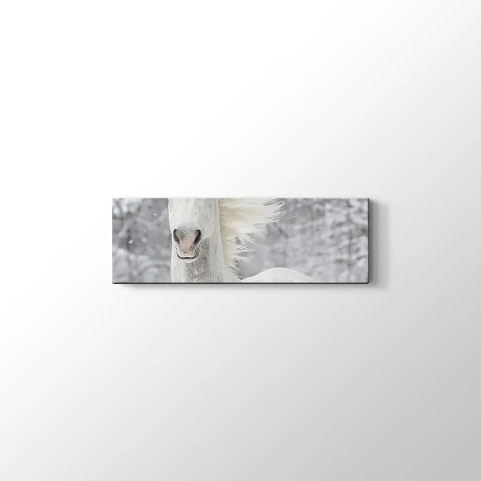 Kış ve Beyaz At Kanvas Tablo