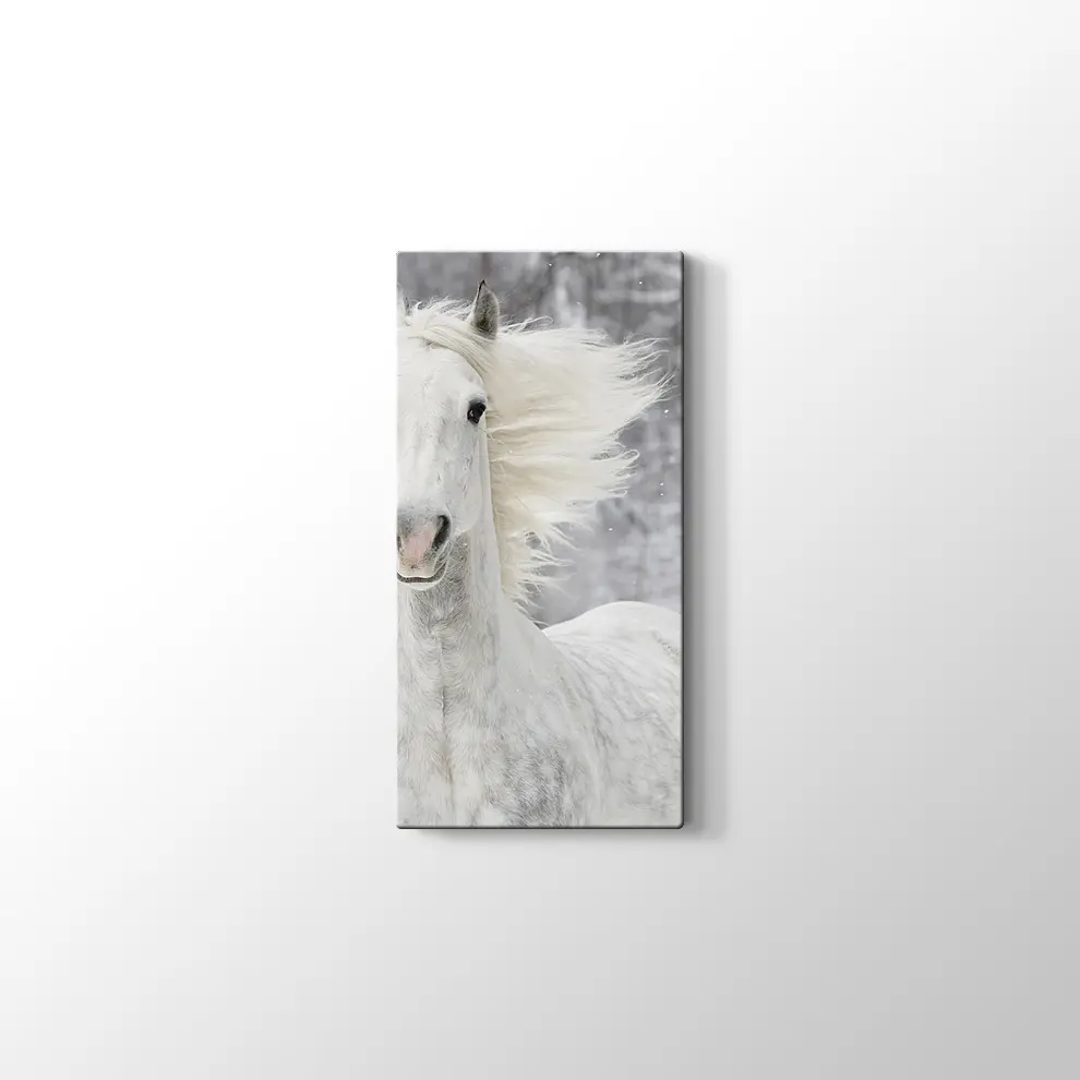 Kış ve Beyaz At Kanvas Tablo
