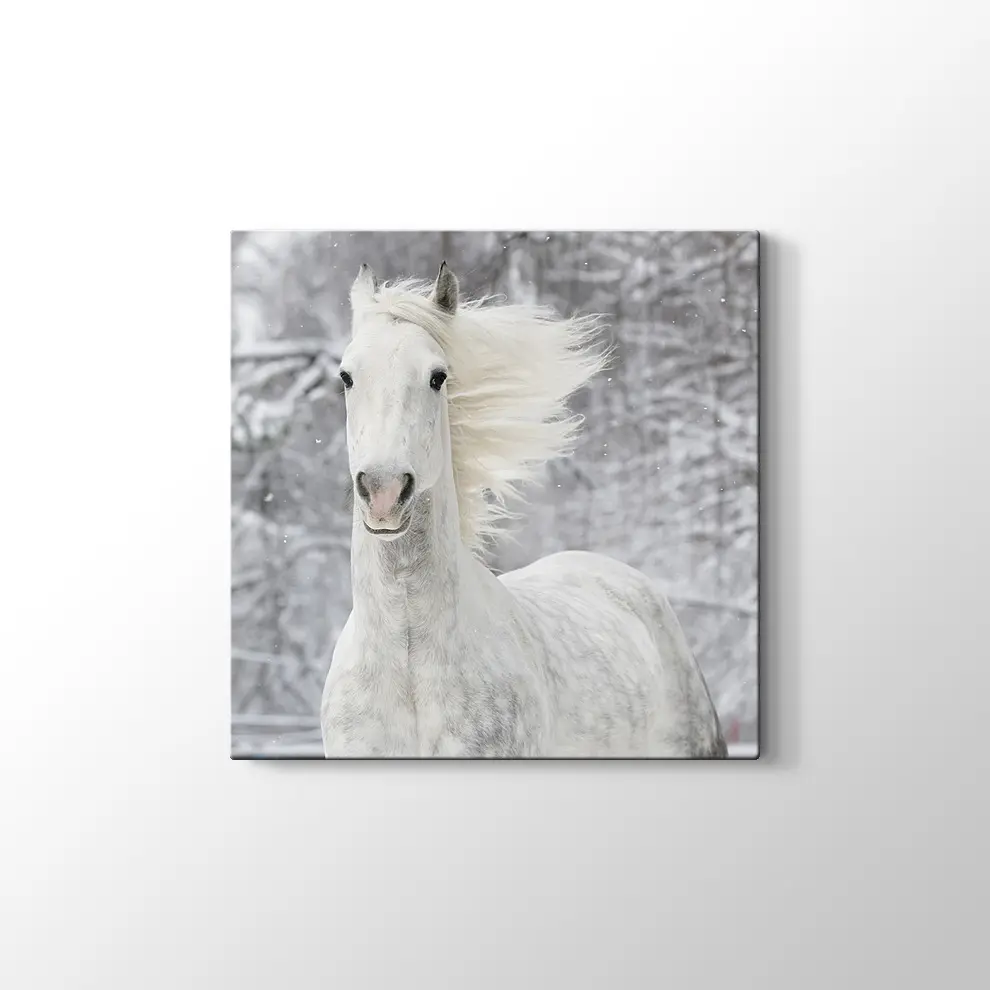 Kış ve Beyaz At Kanvas Tablo