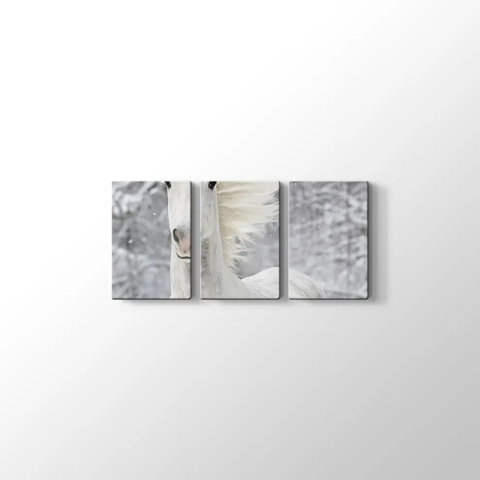Kış ve Beyaz At Kanvas Tablo