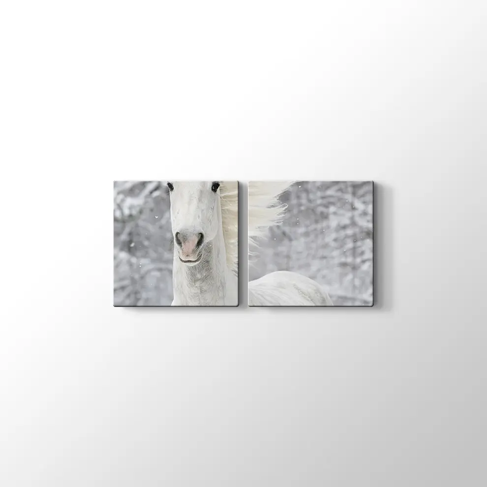 Kış ve Beyaz At Kanvas Tablo