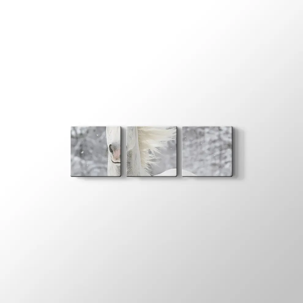 Kış ve Beyaz At Kanvas Tablo