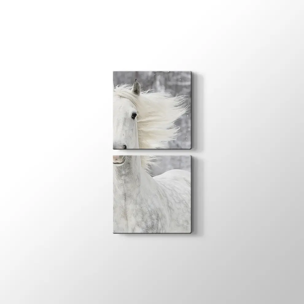Kış ve Beyaz At Kanvas Tablo