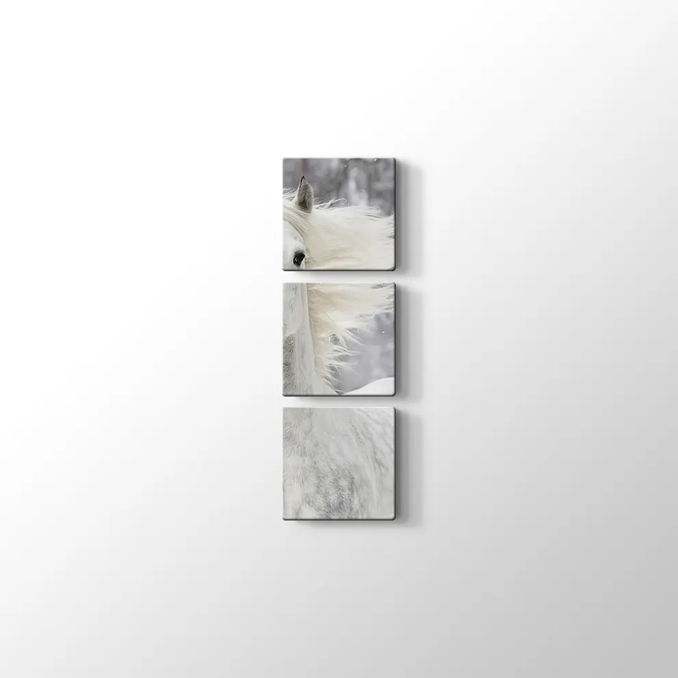 Kış ve Beyaz At Kanvas Tablo