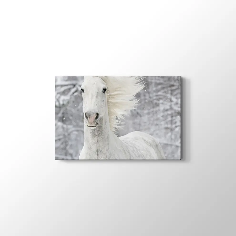 Kış ve Beyaz At Kanvas Tablo