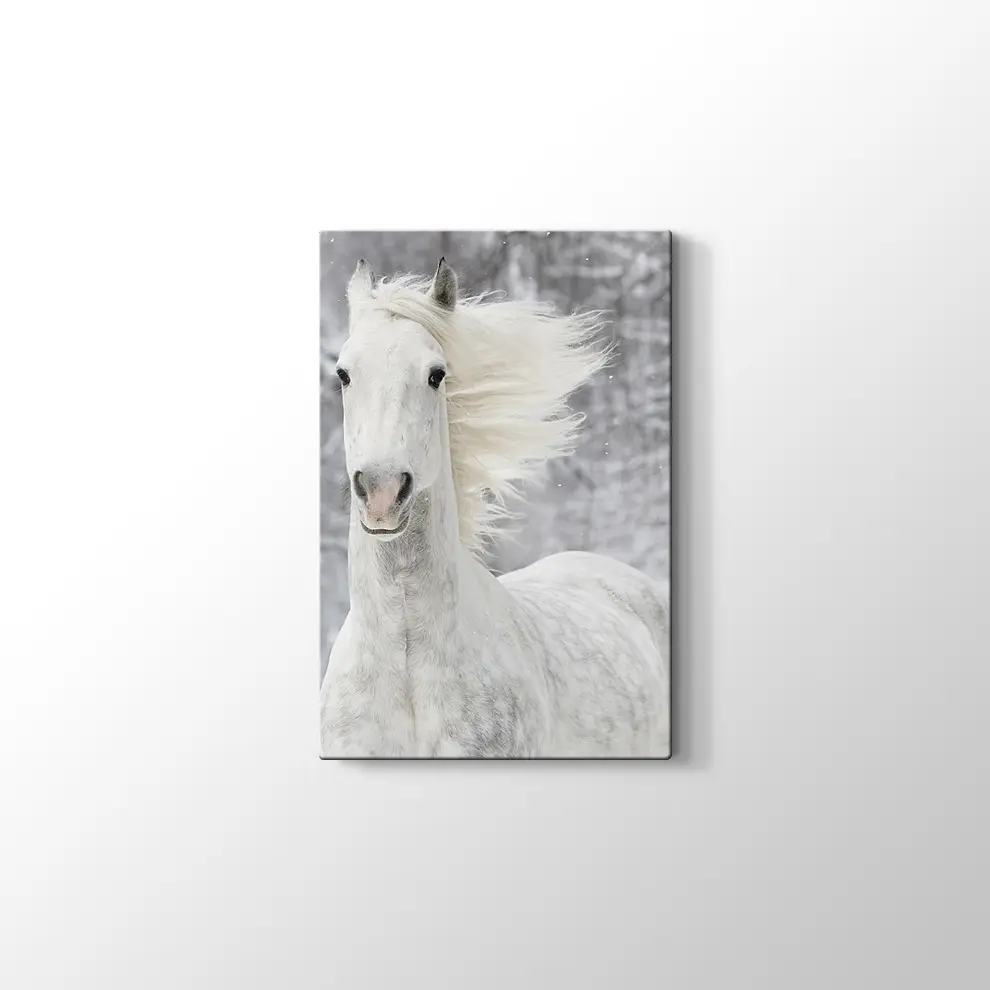 Kış ve Beyaz At Kanvas Tablo