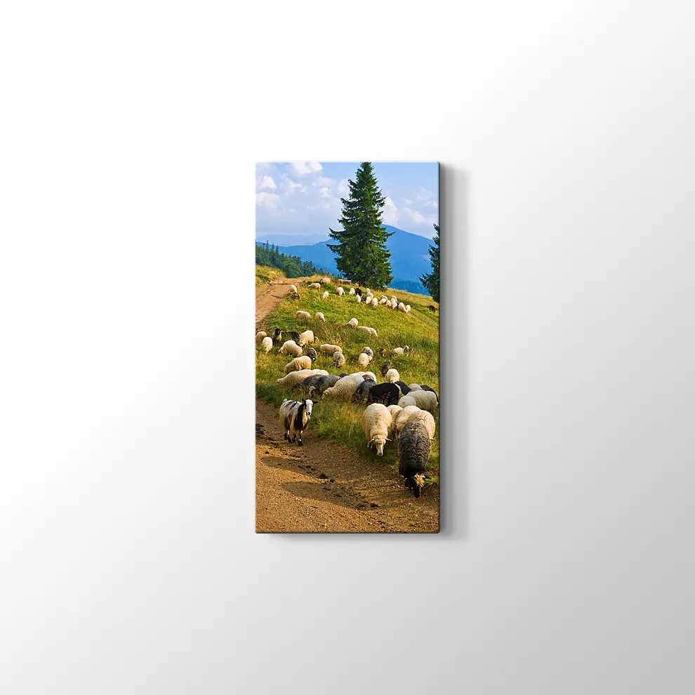 Koyun Sürüsü Kanvas Tablo