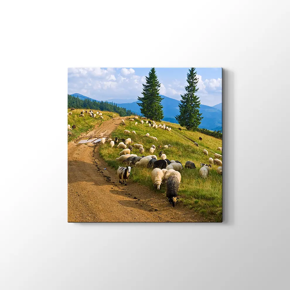 Koyun Sürüsü Kanvas Tablo