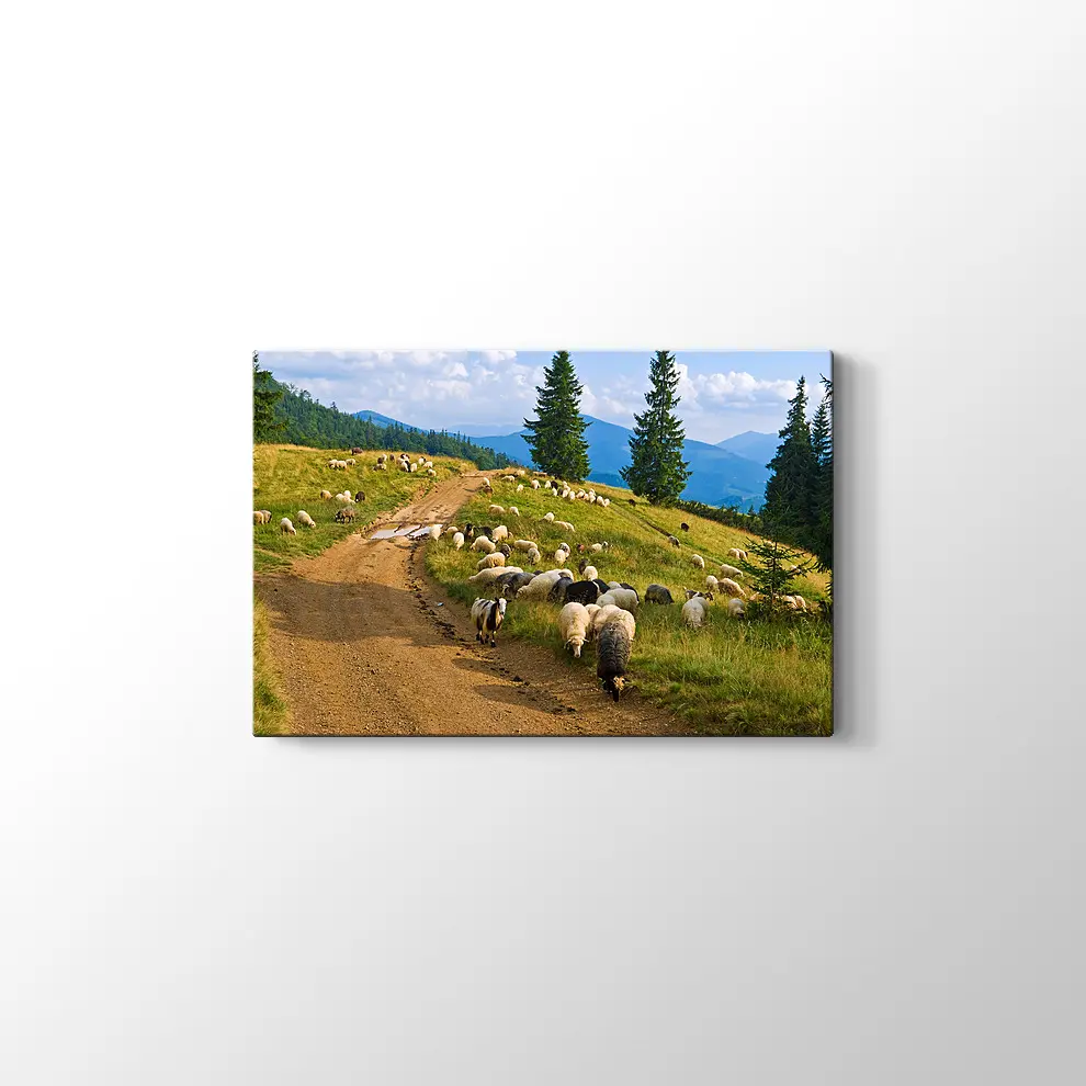 Koyun Sürüsü Kanvas Tablo