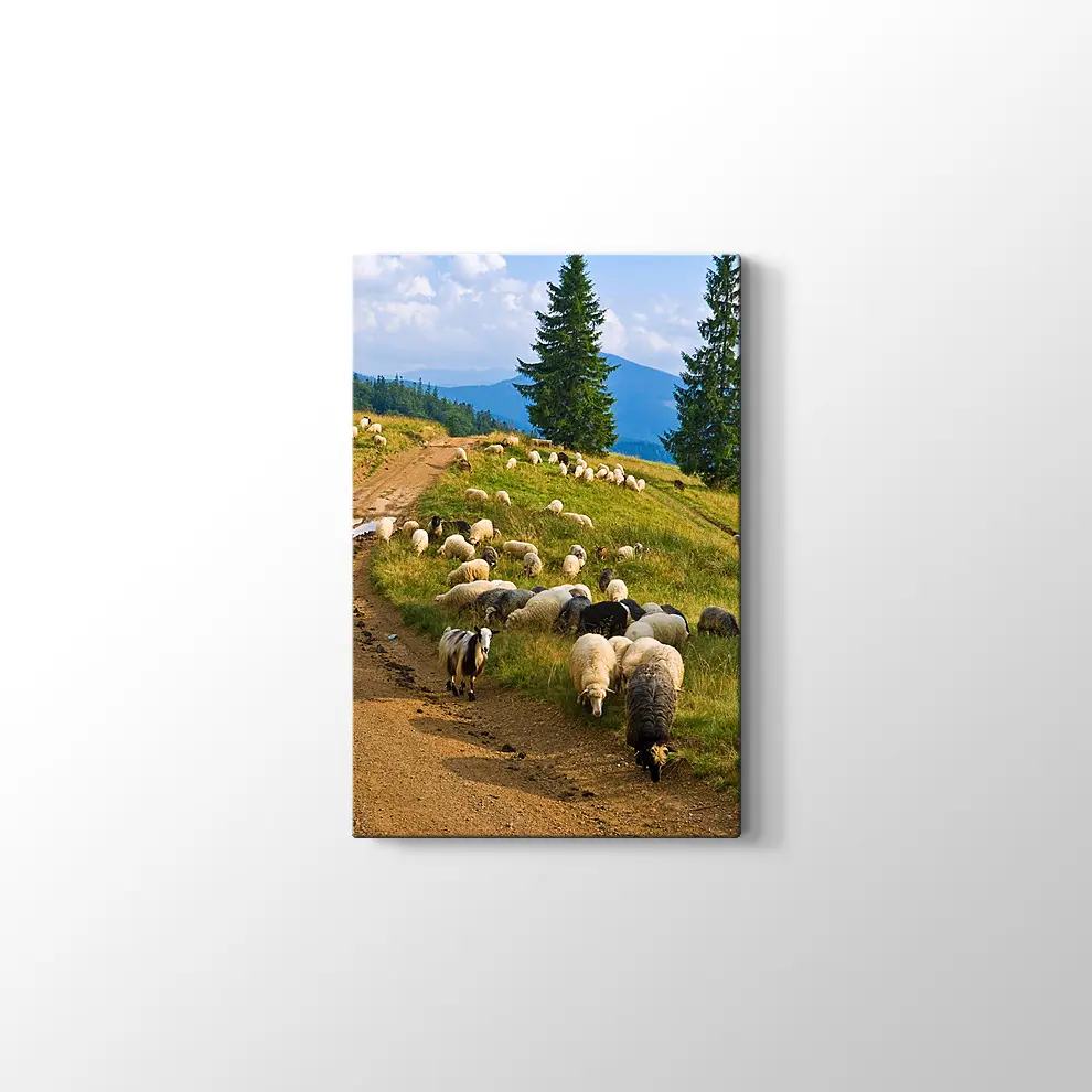 Koyun Sürüsü Kanvas Tablo