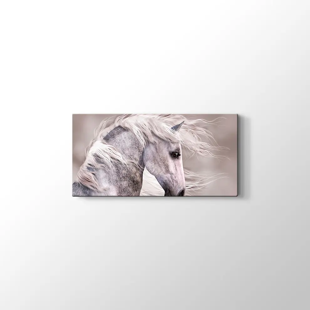 Üzgün At Kanvas Tablo