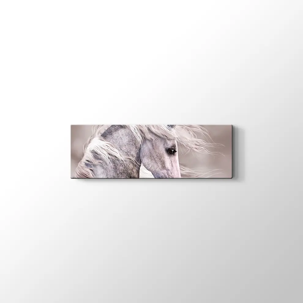 Üzgün At Kanvas Tablo