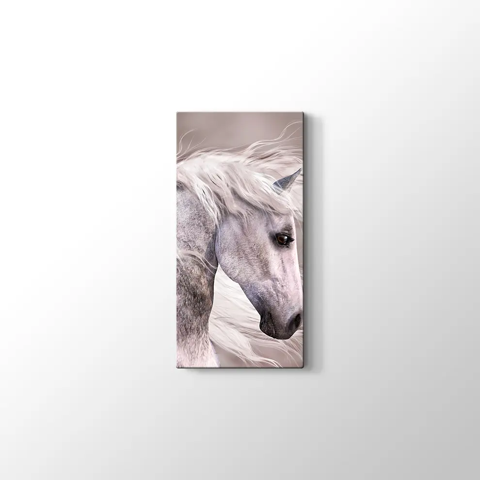 Üzgün At Kanvas Tablo