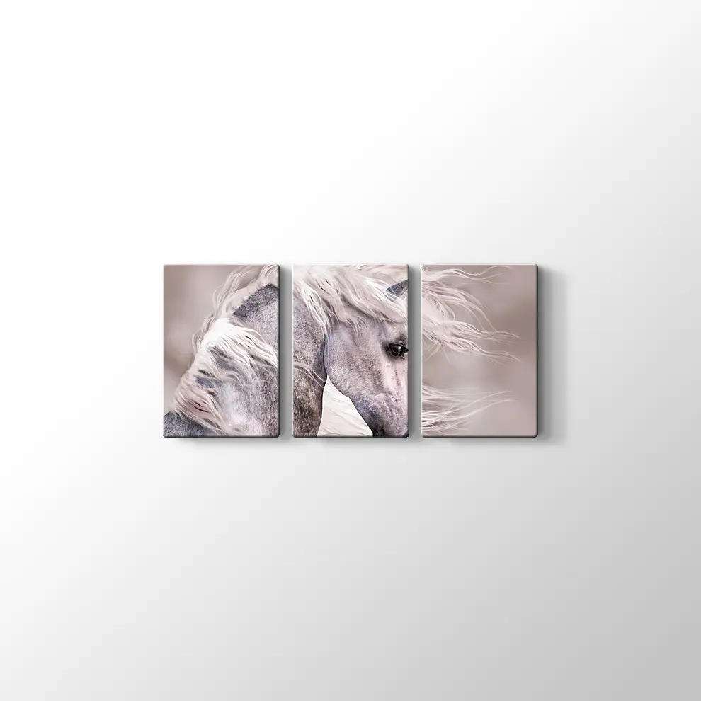 Üzgün At Kanvas Tablo