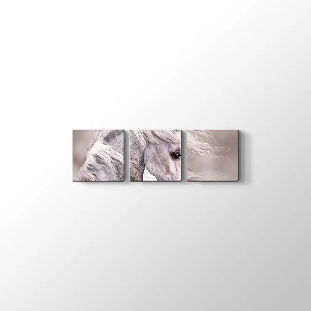 Üzgün At Kanvas Tablo