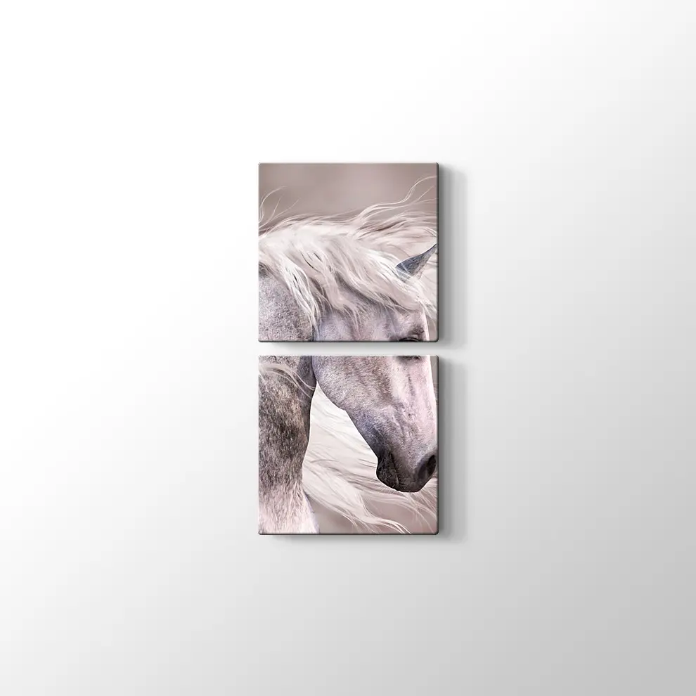 Üzgün At Kanvas Tablo