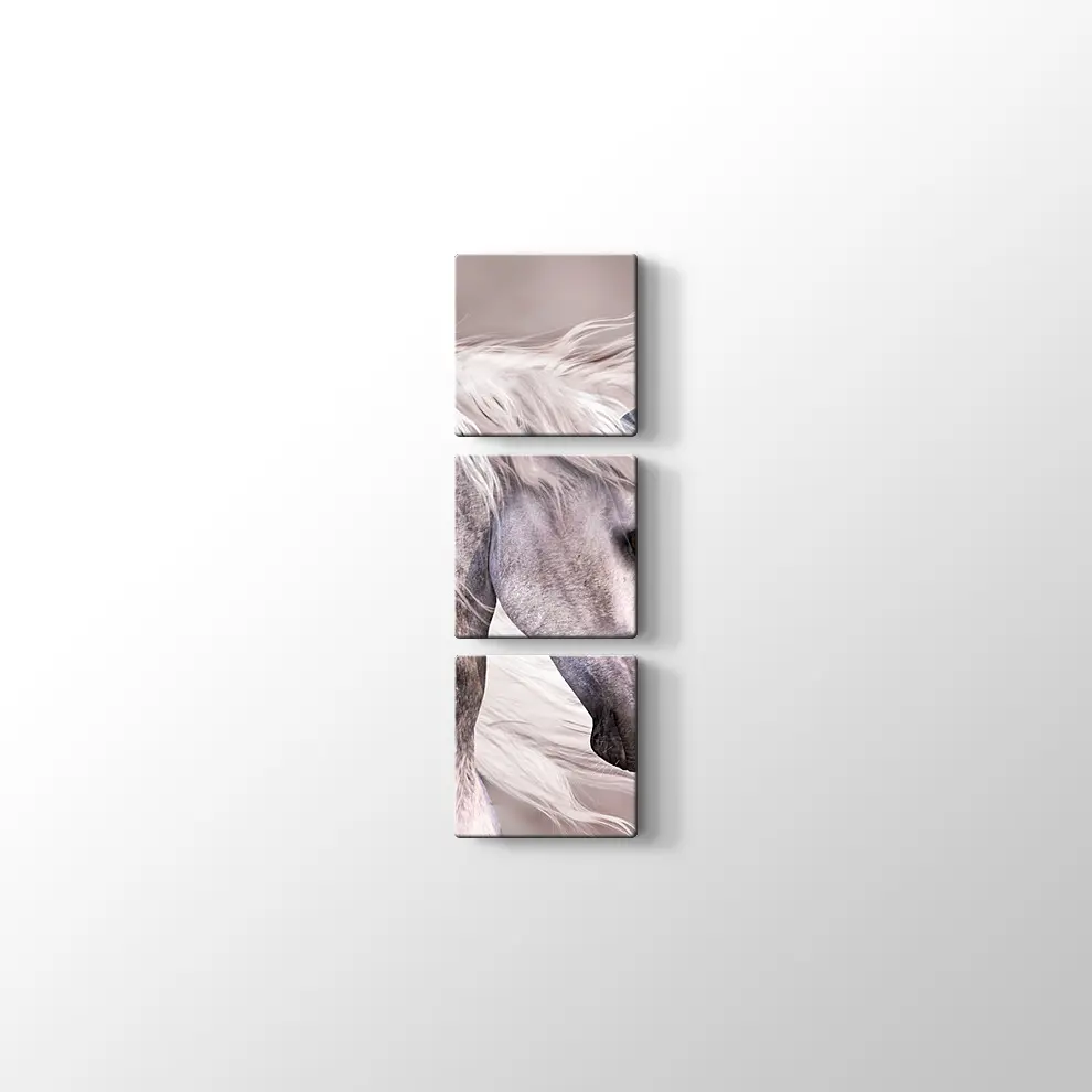 Üzgün At Kanvas Tablo