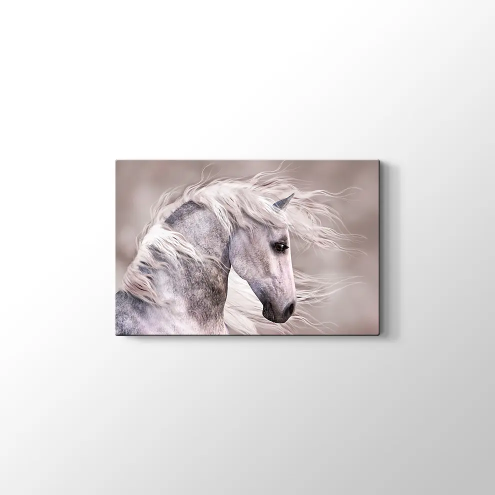 Üzgün At Kanvas Tablo