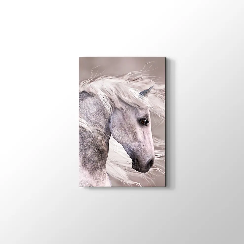 Üzgün At Kanvas Tablo