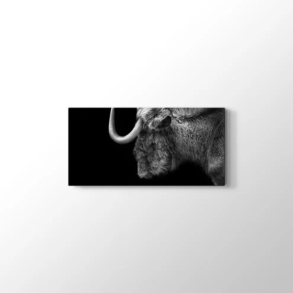 Antilop Kanvas Tablo