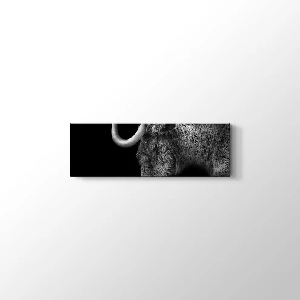 Antilop Kanvas Tablo