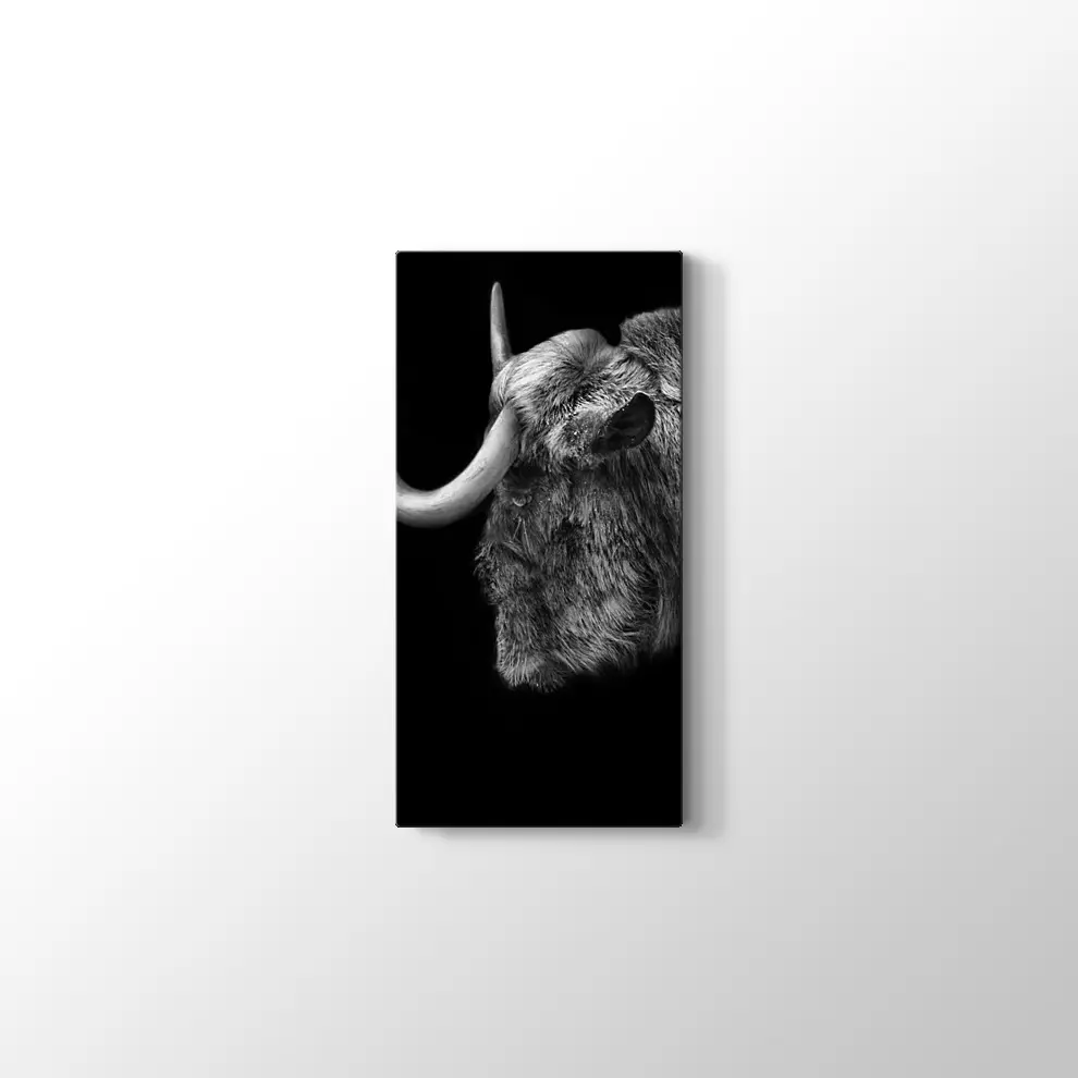 Antilop Kanvas Tablo