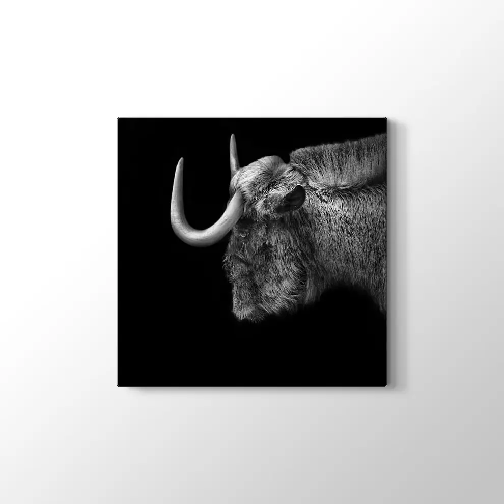 Antilop Kanvas Tablo