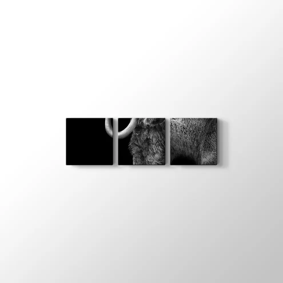 Antilop Kanvas Tablo