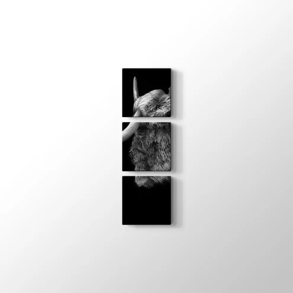 Antilop Kanvas Tablo