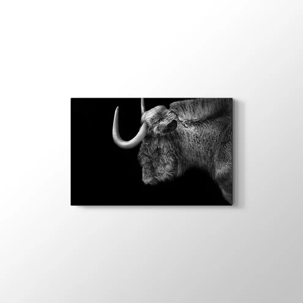 Antilop Kanvas Tablo