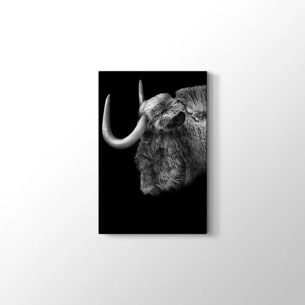 Antilop Kanvas Tablo