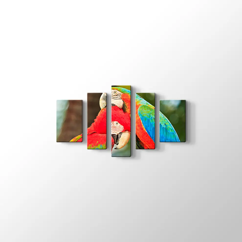 Sevimli Papağanlar Kanvas Tablo