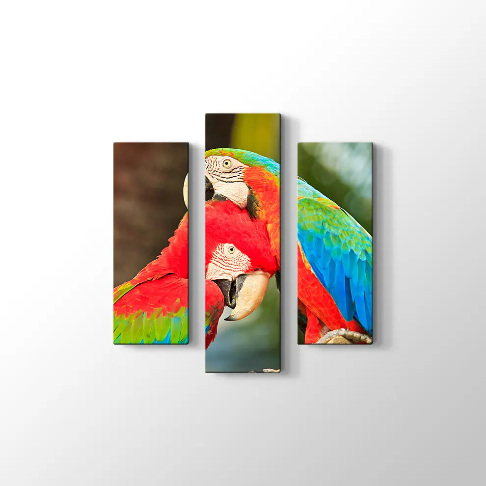 Sevimli Papağanlar Kanvas Tablo