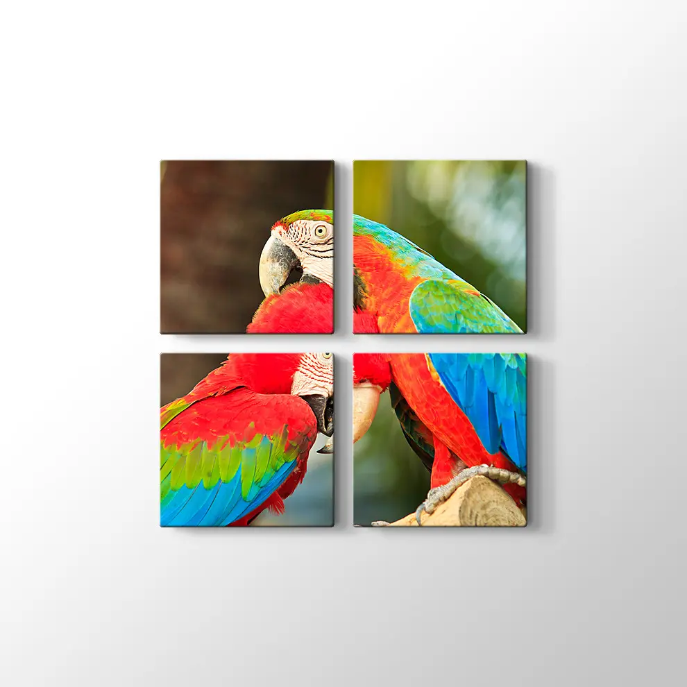 Sevimli Papağanlar Kanvas Tablo