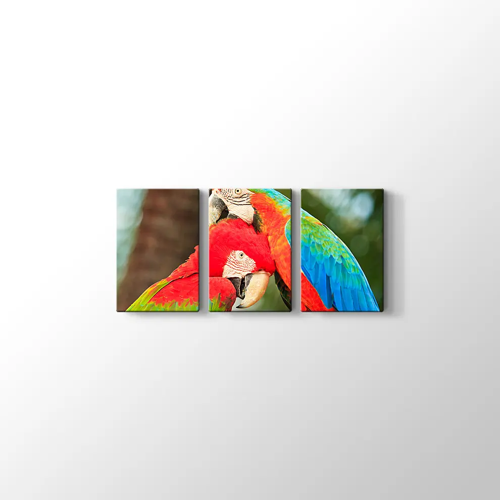 Sevimli Papağanlar Kanvas Tablo