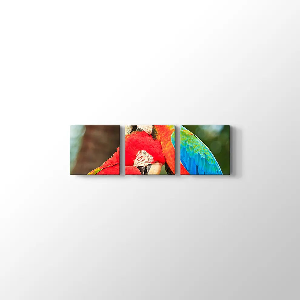 Sevimli Papağanlar Kanvas Tablo