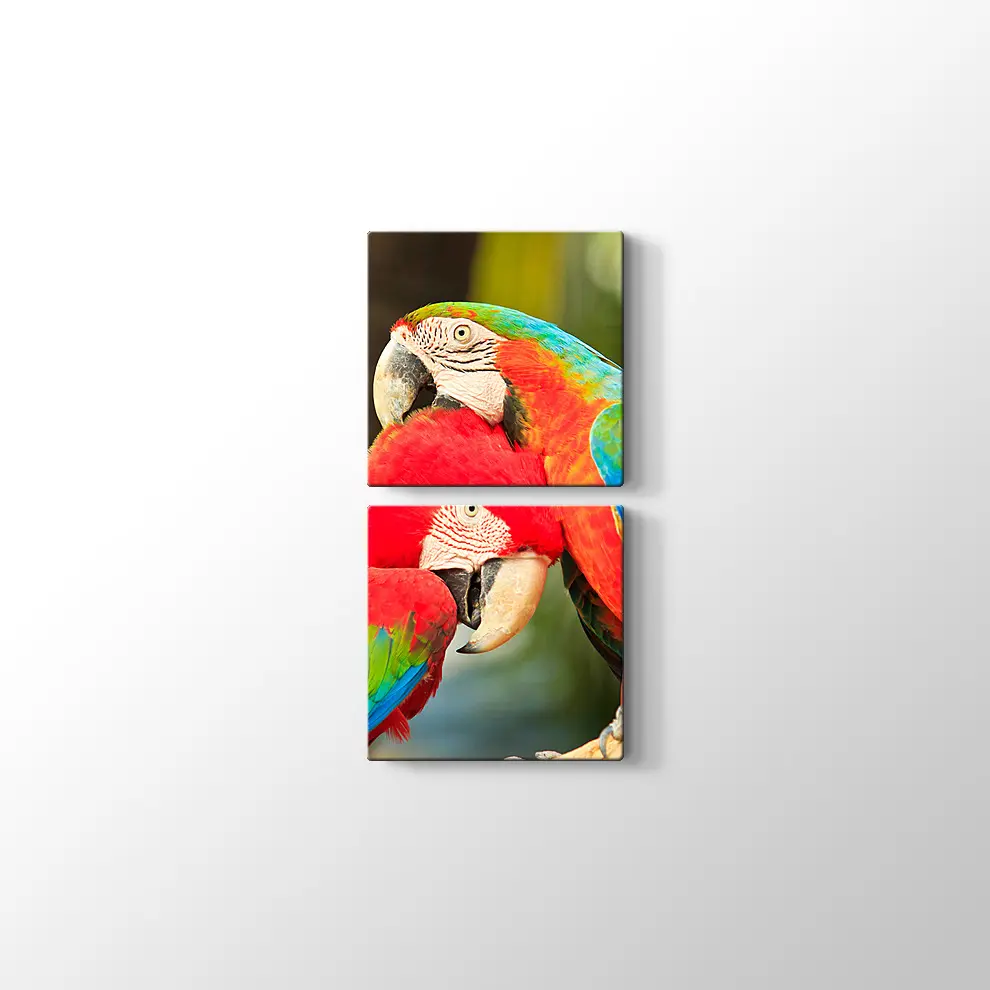 Sevimli Papağanlar Kanvas Tablo