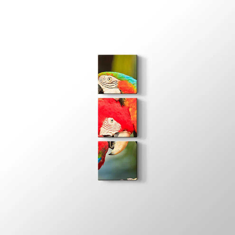 Sevimli Papağanlar Kanvas Tablo