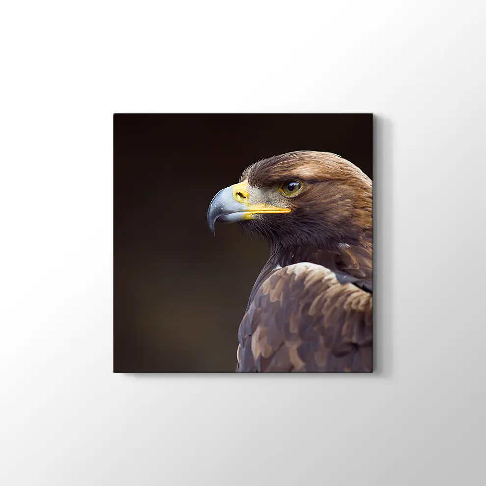 Altın Kartal Kanvas Tablo