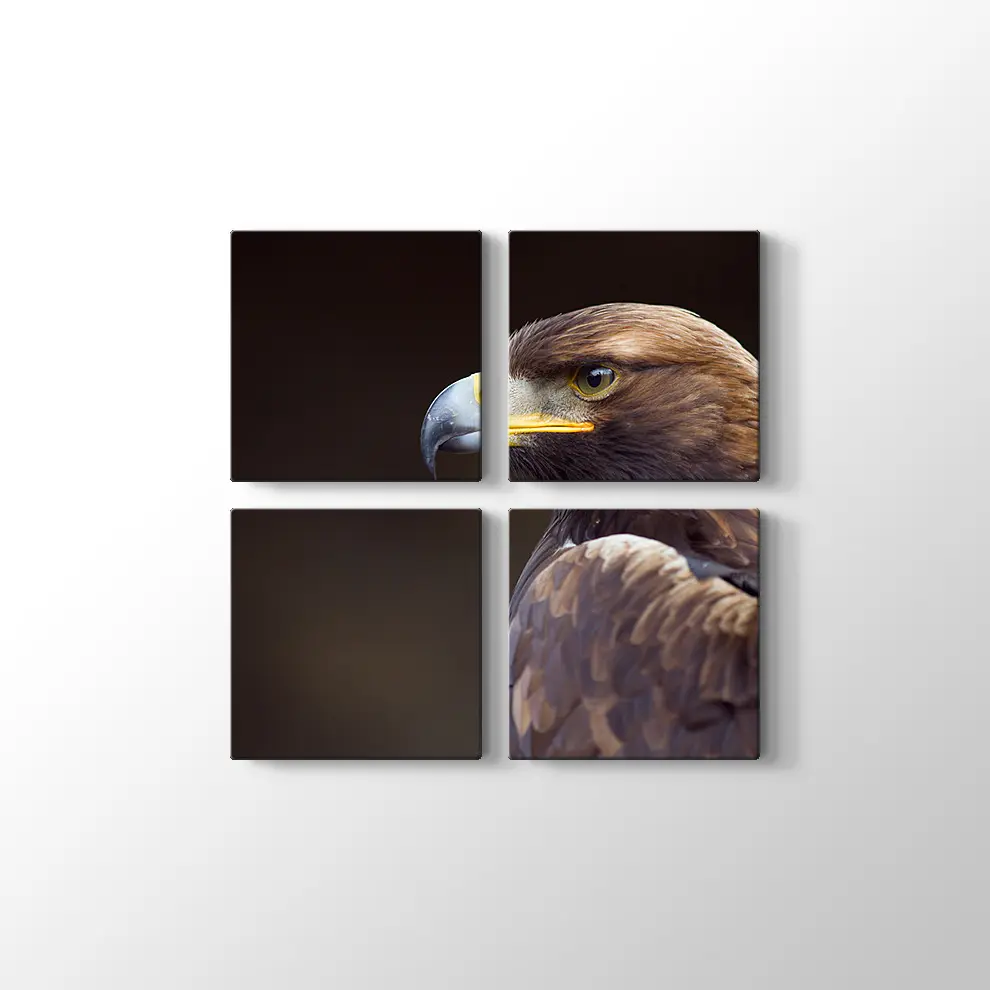 Altın Kartal Kanvas Tablo