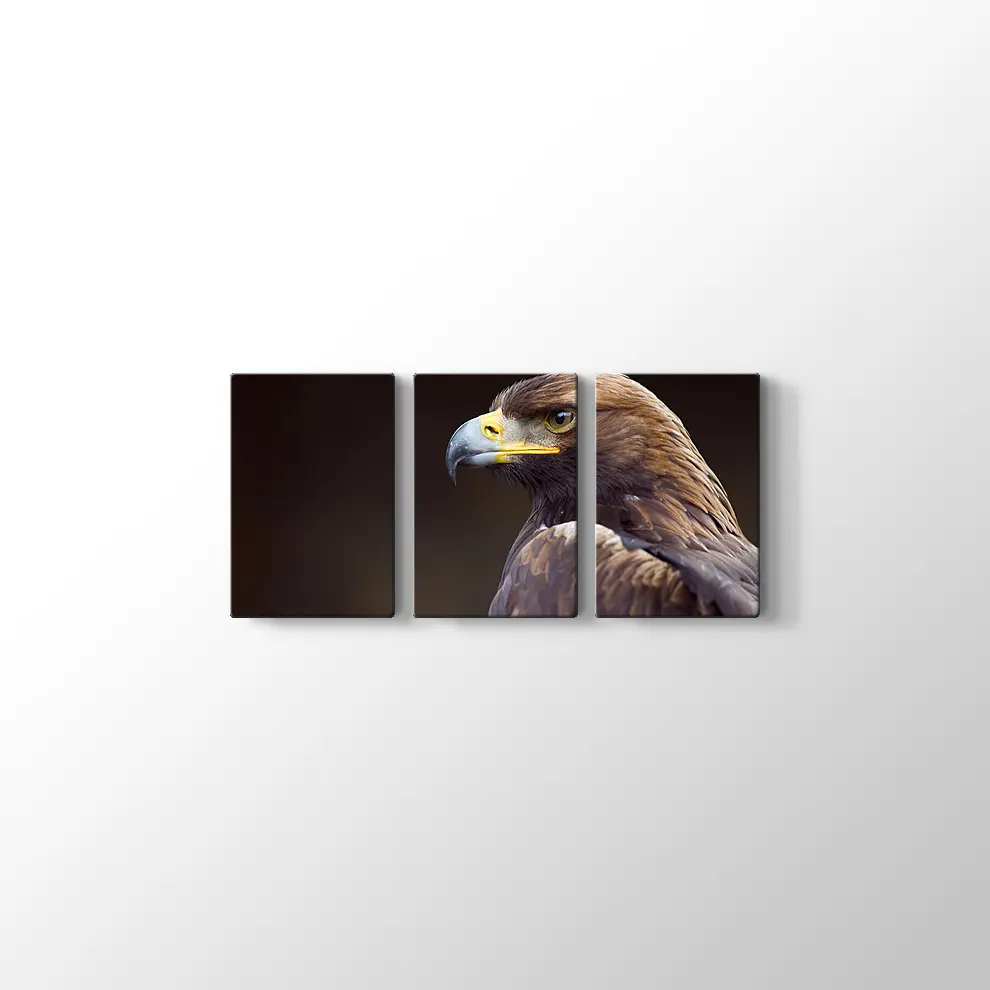 Altın Kartal Kanvas Tablo