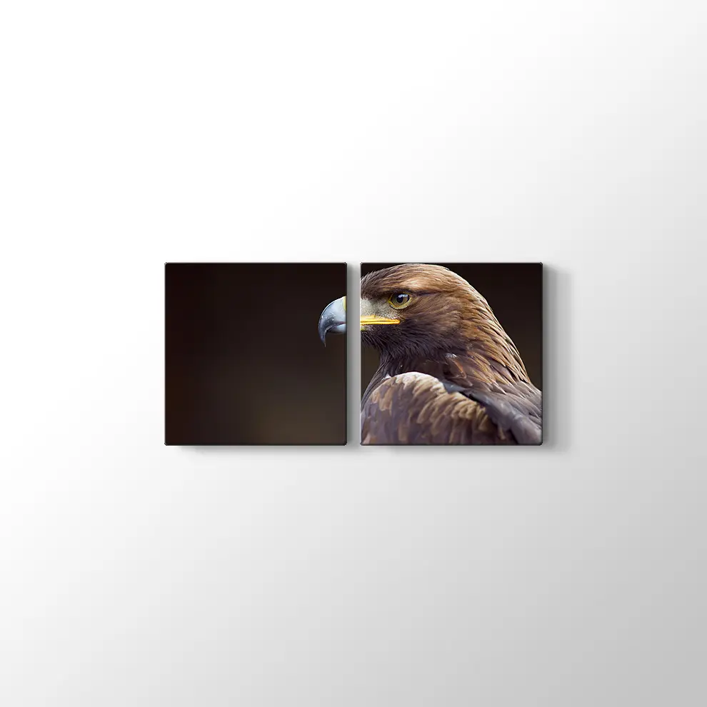 Altın Kartal Kanvas Tablo