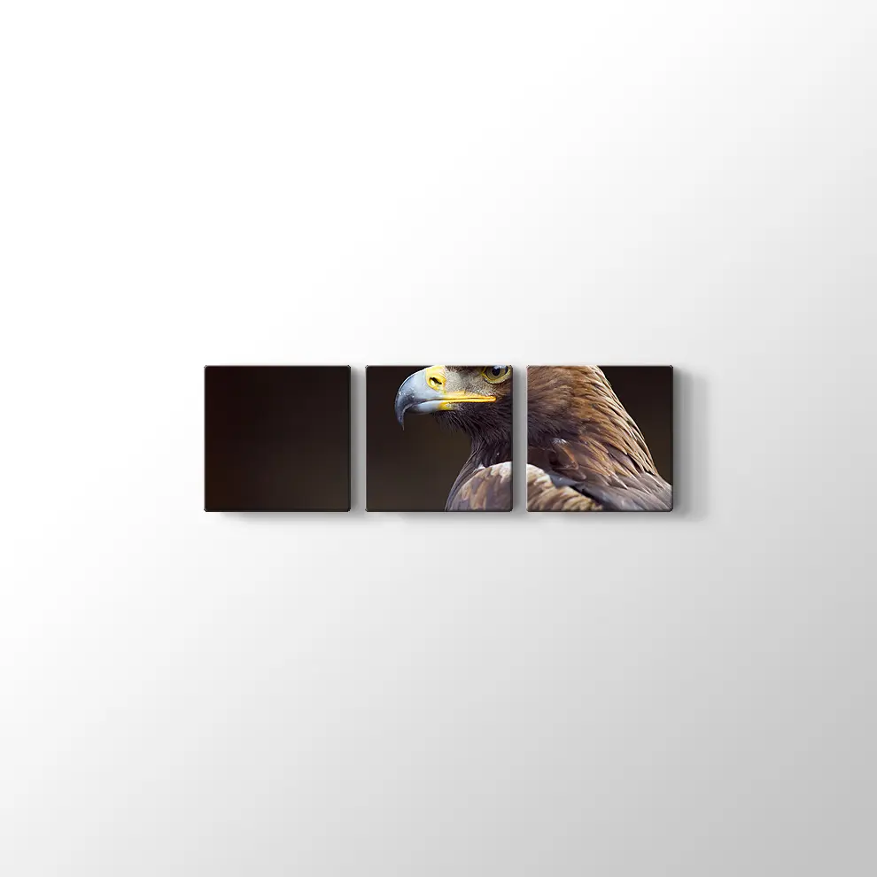 Altın Kartal Kanvas Tablo