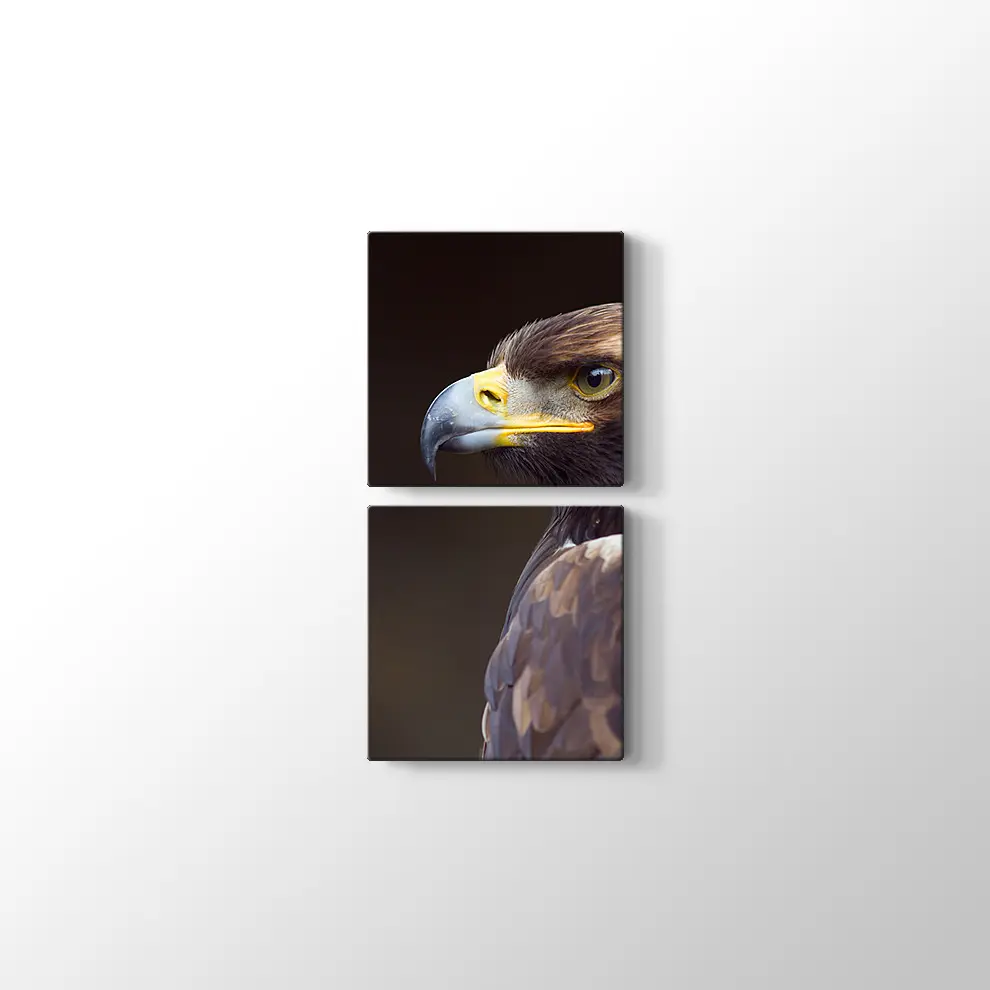 Altın Kartal Kanvas Tablo