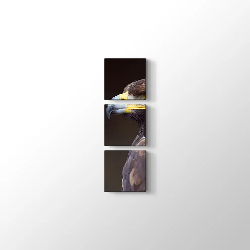 Altın Kartal Kanvas Tablo