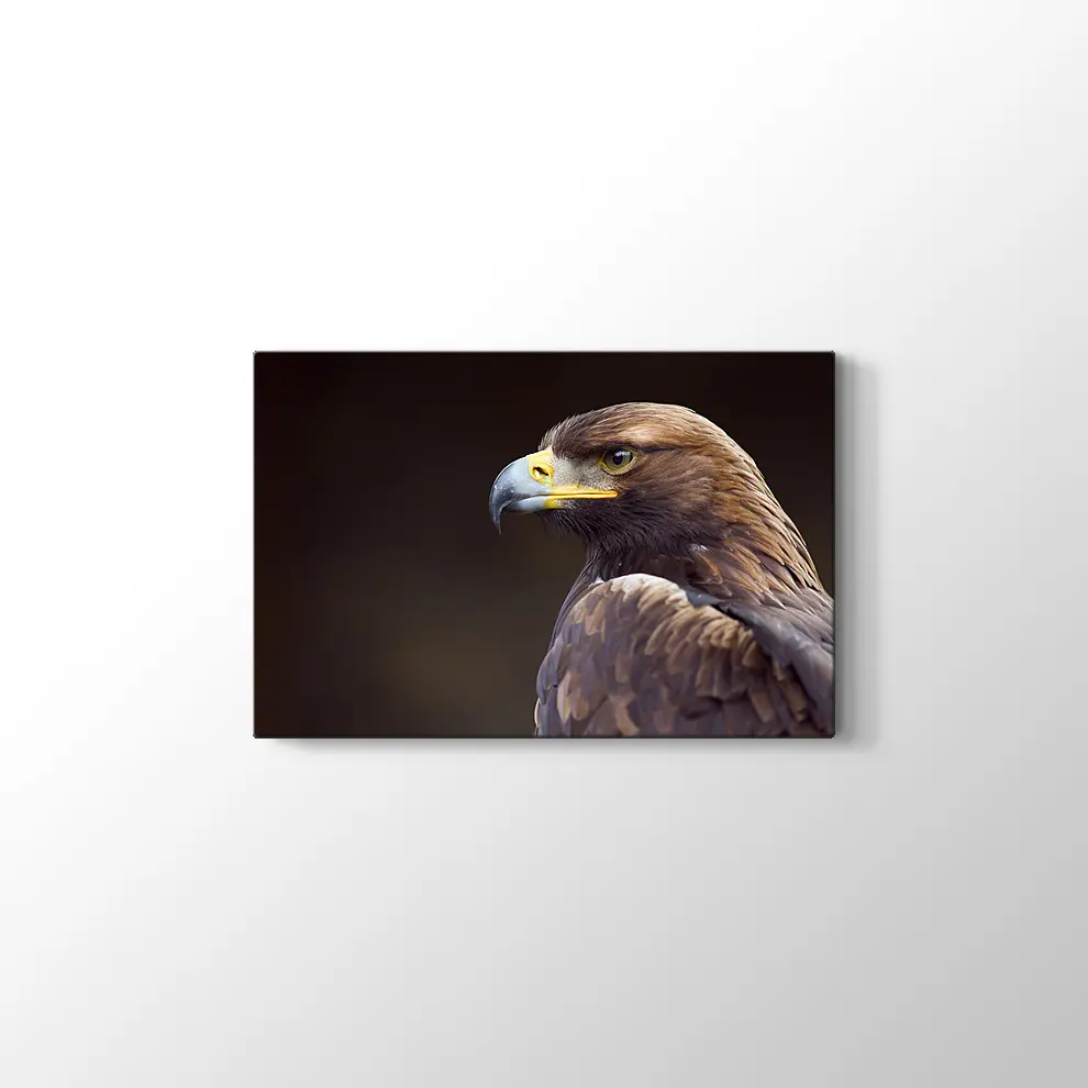 Altın Kartal Kanvas Tablo