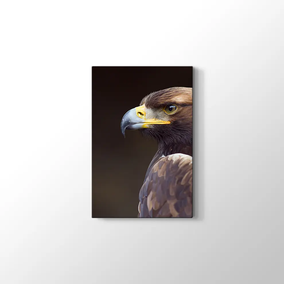 Altın Kartal Kanvas Tablo